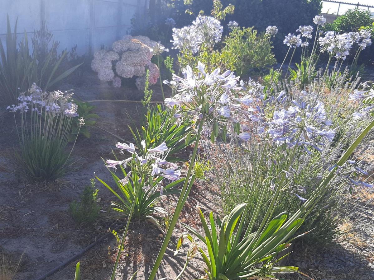 Cabanas Reina Margarita Santa Cruz Εξωτερικό φωτογραφία
